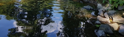 Stream with reflections on the water