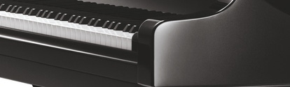 Detail of Piano D 274 black polished