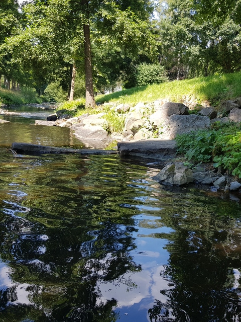 Stream with reflections on the water