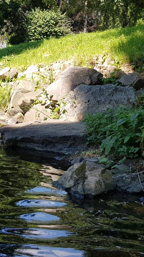 Stream with reflections on the water