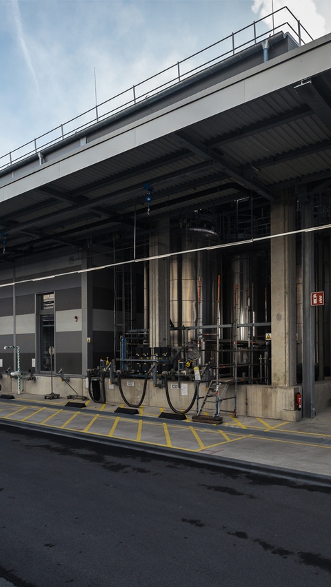 Golden Gate: Photo of new high-runner plant in Muenster Golden Gate: Photo of new high-runner plant in Muenster