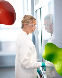 Scientist in front of protection glass. Scientist in front of protection glass.